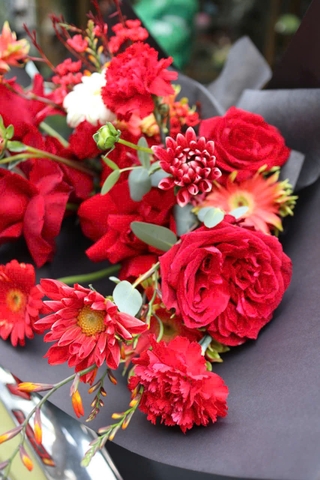 Bó thược dược đỏ, hồng đỏ