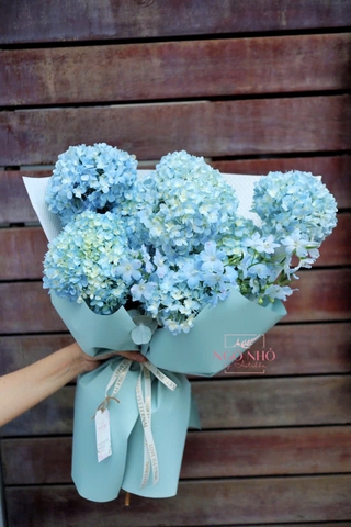 Bó cẩm tú cầu xanh dương mix delphinium