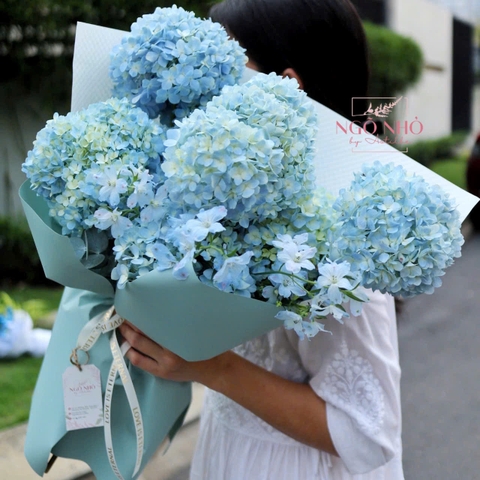 Bó cẩm tú cầu xanh dương mix delphinium