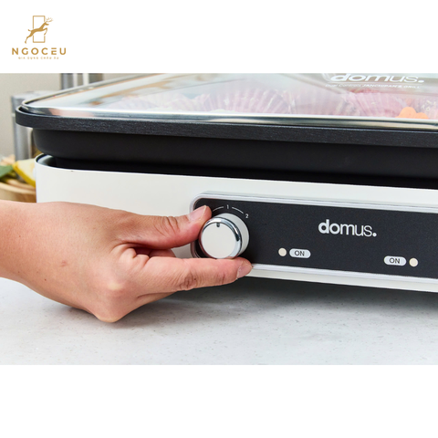 Bếp lẩu nước, nướng nướng 2 đĩa Dupan DP-2301