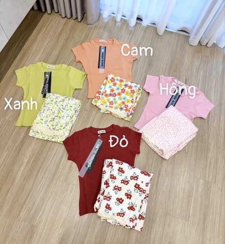 SET450-Áo áo cộc cotton xược trơn mix quần chân ren