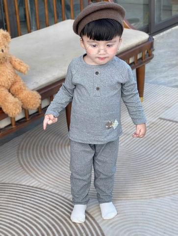 BT667- Combo 2 bộ nỉ dài tay thu đông xám be basix bé trai