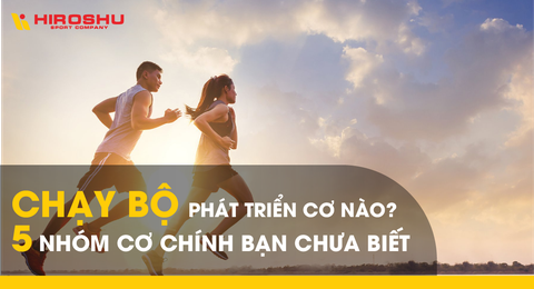 Chạy bộ phát triển cơ nào? 5 nhóm cơ chính bạn chưa biết