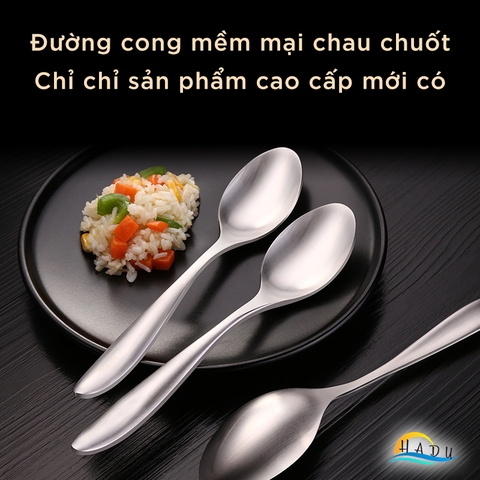 Thìa Muỗng Inox Cán Dài 304 Cao Cấp Ăn Phở Đạt Chất Lượng Đức SSGP Hộp 4 Cái