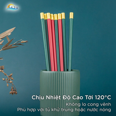 Bộ 5 Đôi Đũa Sợi Thủy Tinh HADU Kháng Khuẩn, Chịu Nhiệt, Chống Trượt, 24.3cm