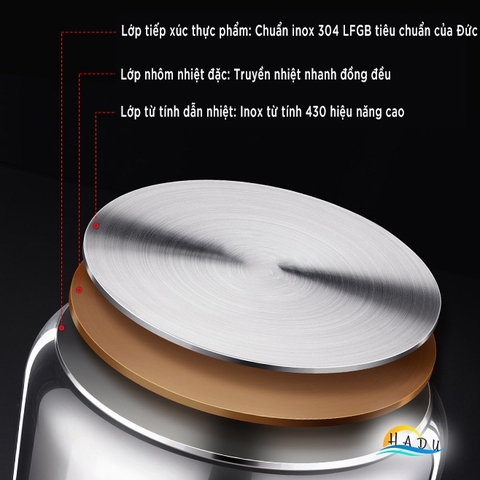 Nồi Áp Suất Bếp Từ Inox 304 SSGP 4L 6L, 2 Chế Độ Nấu, Đáy 3 Lớp, Hầm Nhanh, Đạt Chất Lượng LFGB Đức