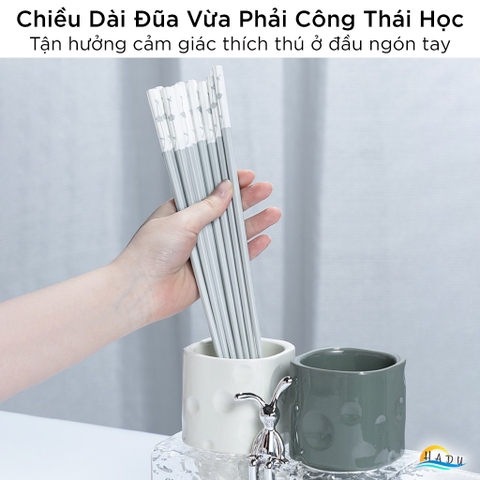 Bộ 5 Đôi Đũa Sợi Thủy Tinh HADU Chống Mốc, Kháng Khuẩn, Chống Trơn, Dài 24.3cm