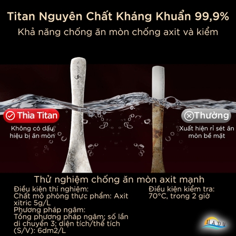 Thìa Ăn Titan Nguyên Chất SSGP, Siêu Nhẹ 22g, Kháng Khuẩn, Dài 15.5cm, Đạt Chất Lượng LFGB Đức