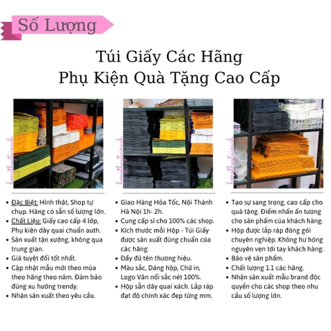 Túi Giấy Lv Vip Size Trung 32cm