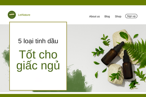 5 Loại Tinh Dầu Xông Phòng Ngủ Giúp An Thần Và Ngủ Ngon Hơn