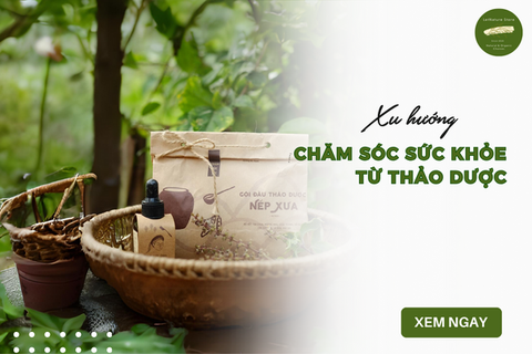 Tiêu Dùng Thông Minh: Xu Hướng Dùng Thảo Dược Chăm Sóc Sức Khỏe