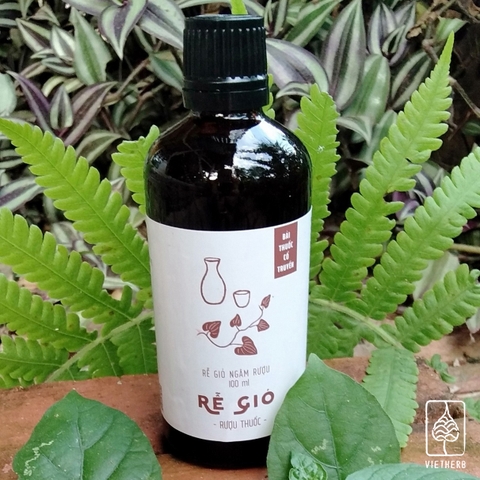 Rượu thuốc Rễ Gió 100ml - VietHerb