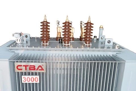 Chống sét van cho máy biến áp là gì?