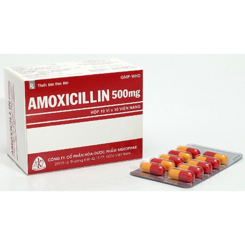 Amoxicillin 500mg hộp 10 vỉ x 10 viên
