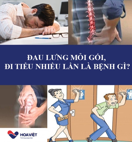 ĐAU LƯNG MỎI GỐI, ĐI TIỂU NHIỀU LẦN LÀ BỆNH GÌ?