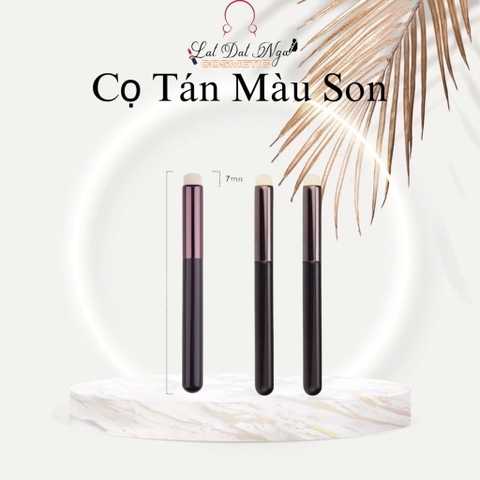 Cọ Tán Màu Son