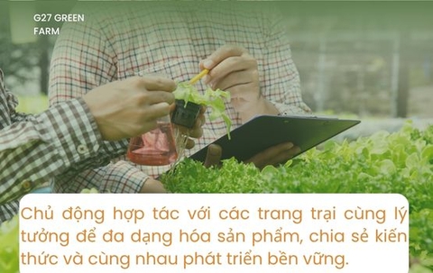 Mô Hình & Chiến Lược G27 Farm