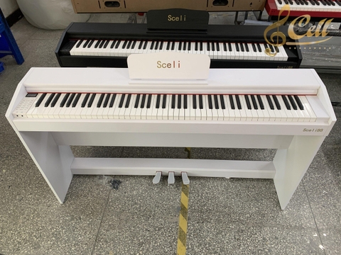 Đàn Piano điện Sceli CE8