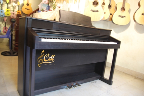 Piano điện Kawai PW920