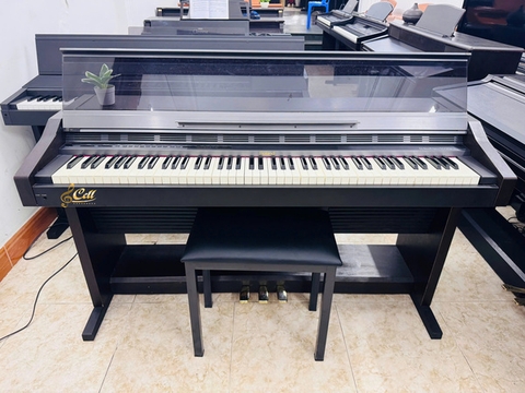 Piano điện Roland HP5000S