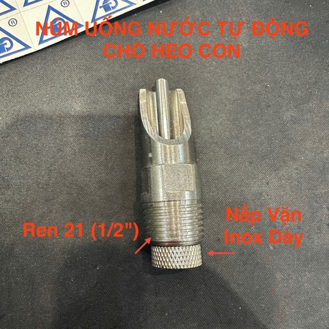 Nuôi heo con nái từ 3kg – 5kg: Vì sao nên lắp 4 núm uống nước cho chuồng 30 con?