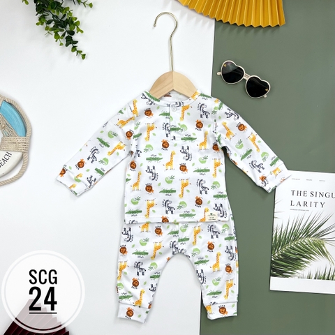 Bộ sơ sinh cotton PC 6/36m x22