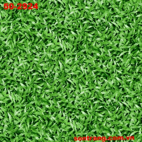 Gạch sân vườn 50X50 PRIME 2924