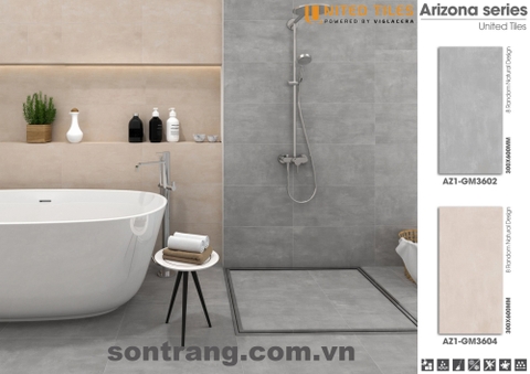 Gạch ốp 30x60 Eurotile Viglacera: Arizona AZ1-GM3604