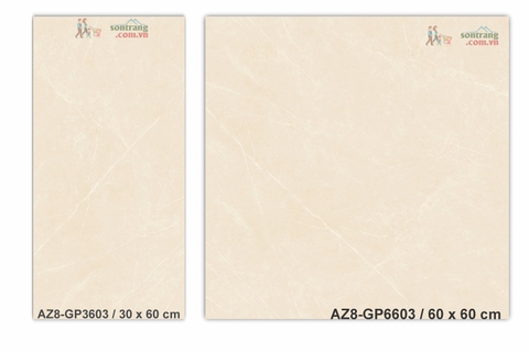 Gạch lát 60x60 men bóng Arizona AZ8-GP6603