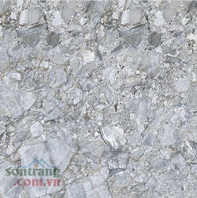 Gạch lát VS Prime 300x300 mã 9338