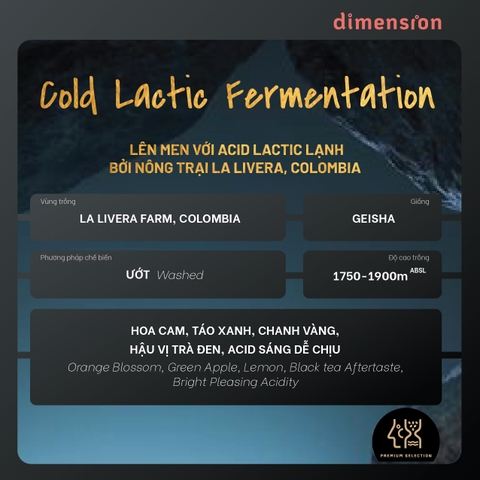 COLOMBIA GEISHA LA LIVERA COLD LACTIC FERMENTED