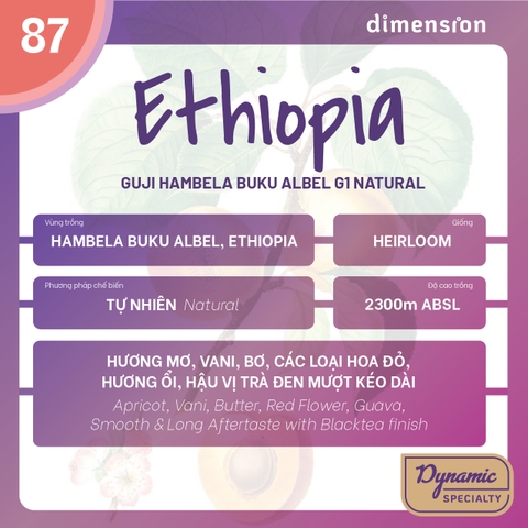 ETHIOPIA HAMBELA BUKU ABEL G1