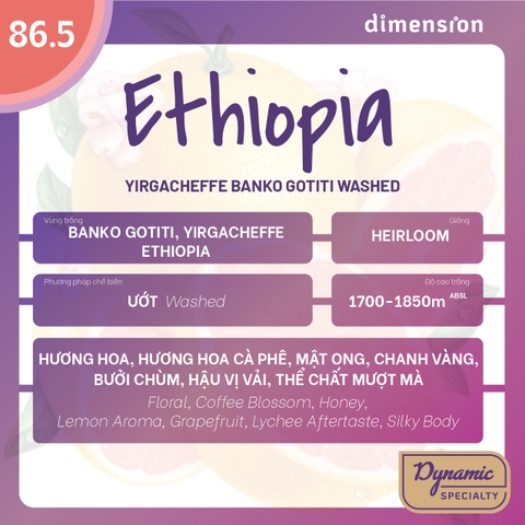 ETHIOPIA BANKO WASHED - YIRGACHEFFE G1 GEDEB GOTTITI