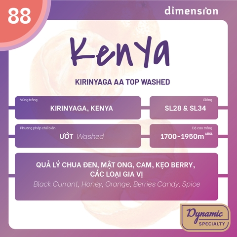 KENYA KIRINYAGA AA TOP WASHED