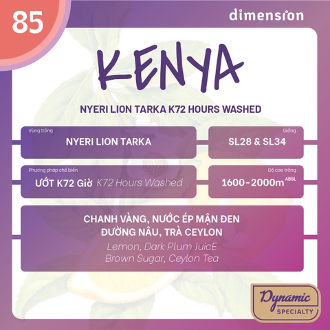 KENYA NYERI LION TARKA K72 HOUR WASHED 