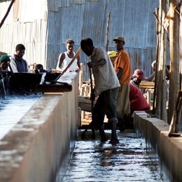 ETHIOPIA GUJI GELANA GESHA G1