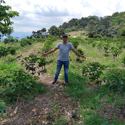 COLOMBIA SYDRA FINCA EL DIVISO HUILA ANAEROBIC NATURAL