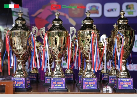 Mii - Made in Italy đồng hành cùng Giải đấu Pickleball Liên minh Hanoiba 2025