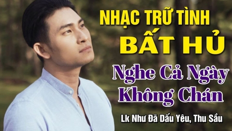 List Ca Nhạc Trữ Tình Dành Cho Người Yêu Nhạc