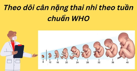 Bảng Cân Nặng Thai Nhi Theo Tuần Chuẩn Who