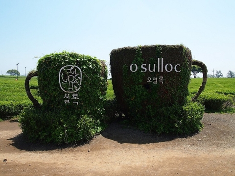 Hà Nội - Đảo Jeju