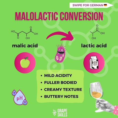 Nhà làm rượu Alessandro Zanette