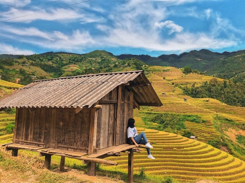 (2N1D) TOUR HÀ NỘI - MÙ CANG CHẢI - ĐÈO KHAU PHẠ - TÚ LỆ