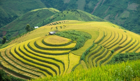 (2N1D) TOUR HÀ NỘI – XÍM VÀNG - TÀ XÙA – BẮC YÊN – HÀ NỘI