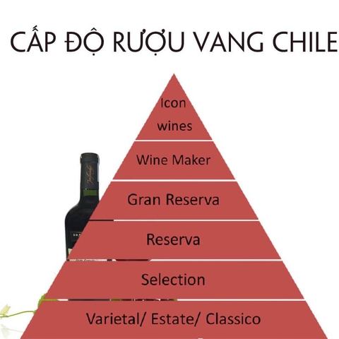 Chile Wine Class
