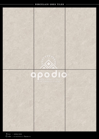 Gạch Ốp Lát Gạch APODIO kích thước 60x120cm - 61433211