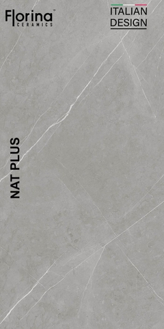 Gạch cao cấp có chức năng diệt khuẩn FLORINA - FL126MS4 kích thước 60X120 cm