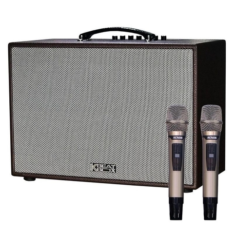 Loa Acnos CS261PU