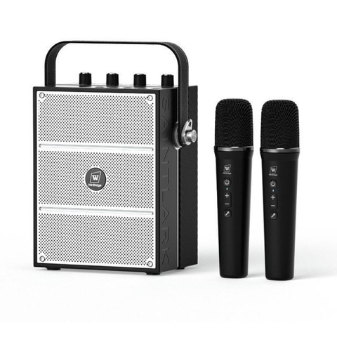 Loa trợ giảng WinBridge S99