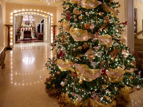 Nguồn gốc, ý nghĩa và 5 ý tưởng trang trí cây thông Noel phổ biến, dễ làm nhất